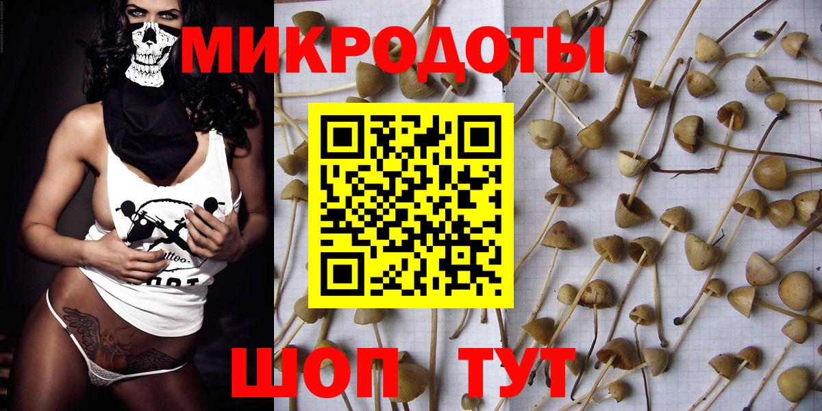 Псилоцибиновые грибы MAGIC MUSHROOMS  Вход с VPN  Магадан  Псилоцибиновые грибы прущие грибы 